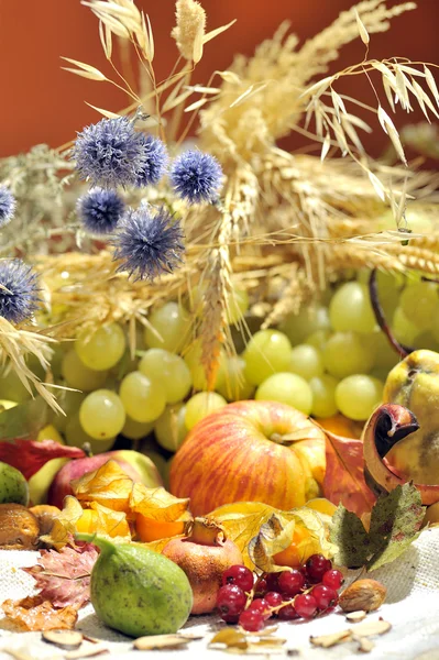 Φθινοπωρινή σύνθεση με φρούτα και veget — Φωτογραφία Αρχείου