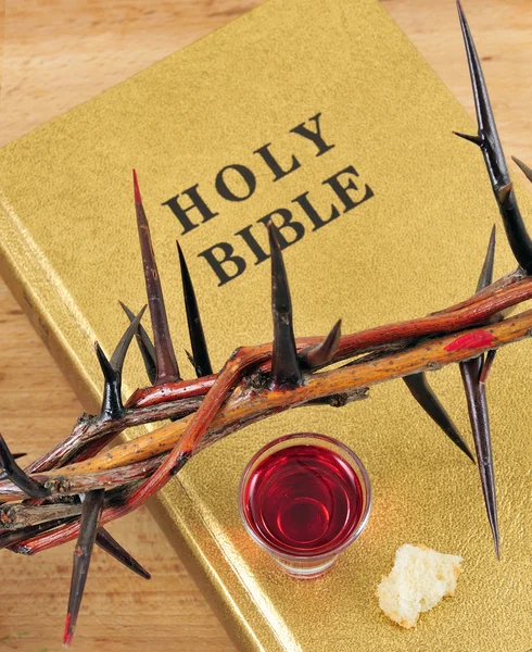 Dornenkrone auf einer Bibel — Stockfoto