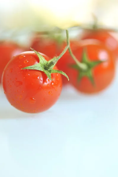 Červené rajče kapkami vody — Stock fotografie
