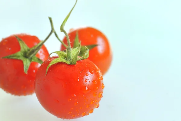 Czerwony pomidor z kropli wody — Zdjęcie stockowe