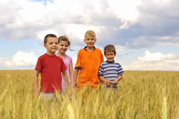 Crianças sorridentes no campo dos cereais — Fotografia de Stock