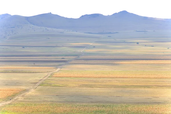 Landschaft mit Feldern und Bergen — Stockfoto
