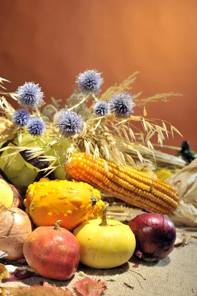 Autumn arrangement with fruits and vegetables — Stock Photo, Image