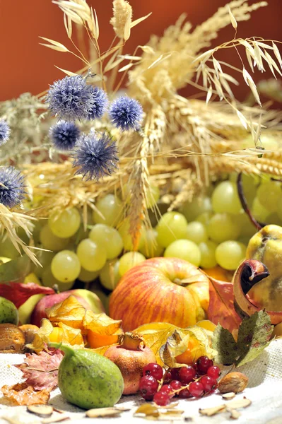 Φθινοπωρινή σύνθεση με φρούτα και λαχανικά — Φωτογραφία Αρχείου