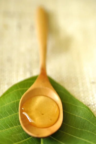 Miel de acacia — Foto de Stock