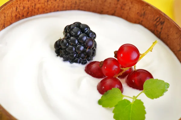 Jogurt z owocami — Zdjęcie stockowe