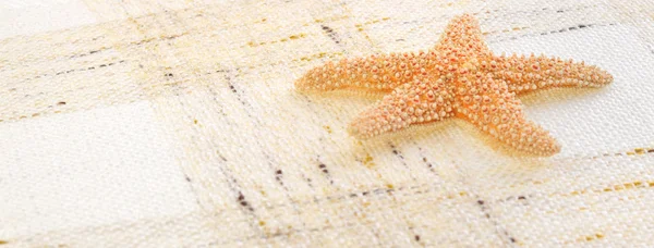 Starfish no fundo — Fotografia de Stock