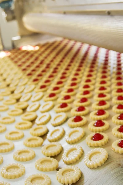 Biscoito de produção na fábrica — Fotografia de Stock