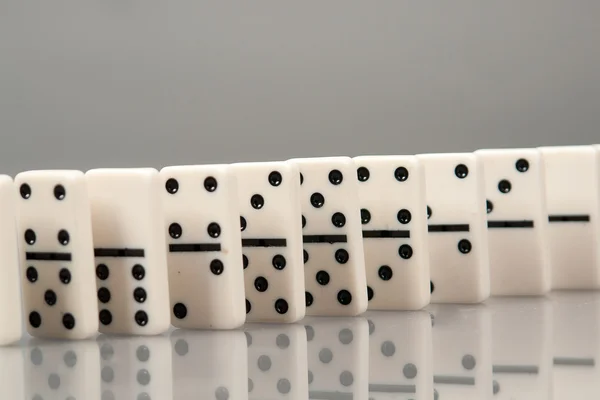 Domino su un grigio — Foto Stock