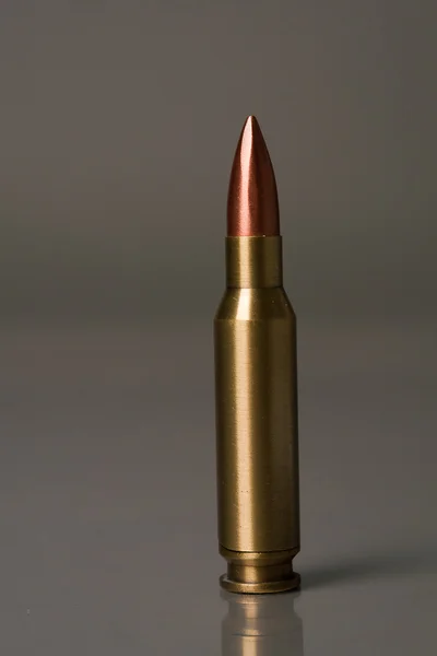 Zbraň bullet pobyt na šedé bg — Stock fotografie