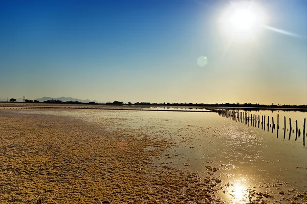 塩の湖 ロイヤリティフリーのストック写真