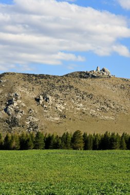 Yeni Zelanda hills