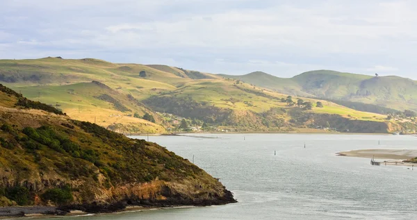Otago Yarımadası panorama — Stok fotoğraf