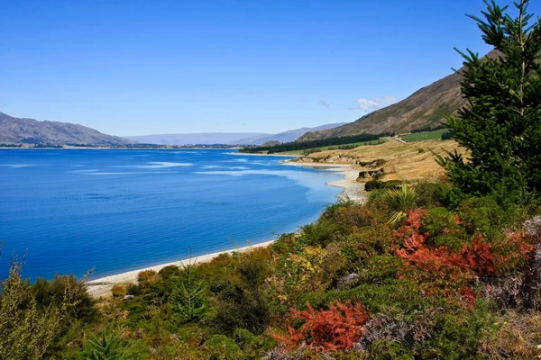 Blue lake in Nieuw-Zeeland — Stockfoto