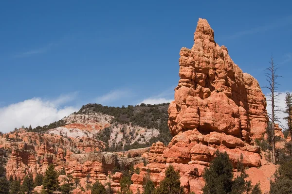 Rock Formations in Red Canyon — Stock Photo, Image