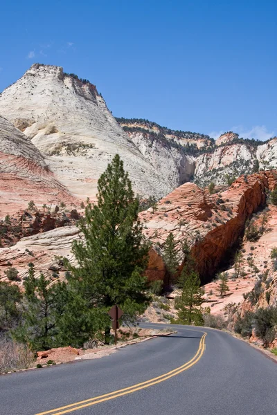 Road into Zion Canyon — Stock Photo, Image