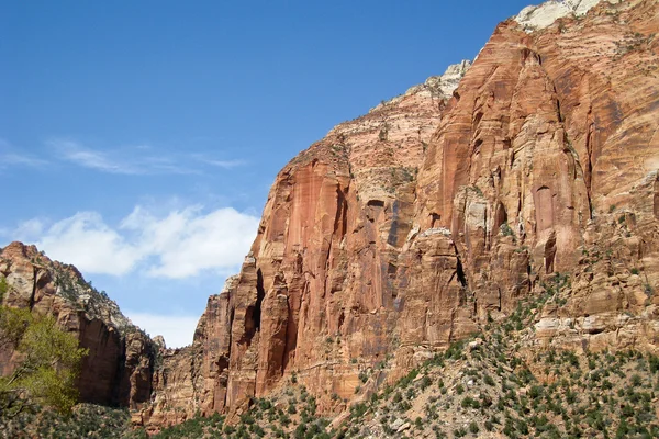 Zion canyon duvar — Stok fotoğraf