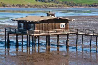 Dilapidated House on Stilts clipart