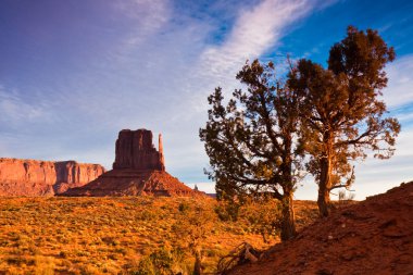 Junipers in Monument Valley clipart