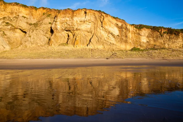 stock image Point Reyes Cliffs