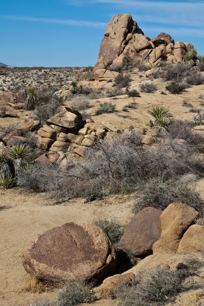 在莫哈韦沙漠中的岩层 — 图库照片