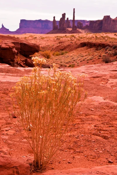 Pomnik pustynia Dolina — Zdjęcie stockowe