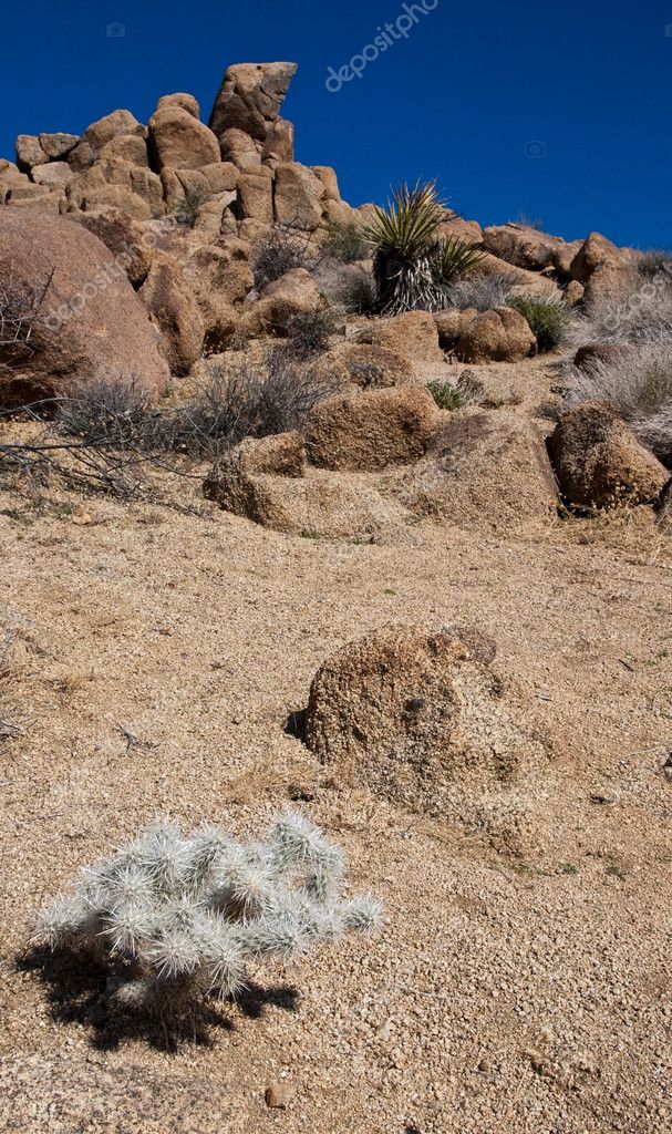 Mojave Desert Landscape Stock Photo by ©nstanev 2766130