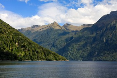 Doubtful Sound Landscape clipart