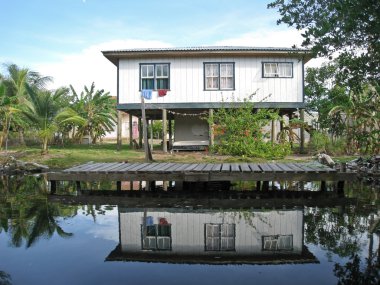 House in the Mangroves of Roatan clipart