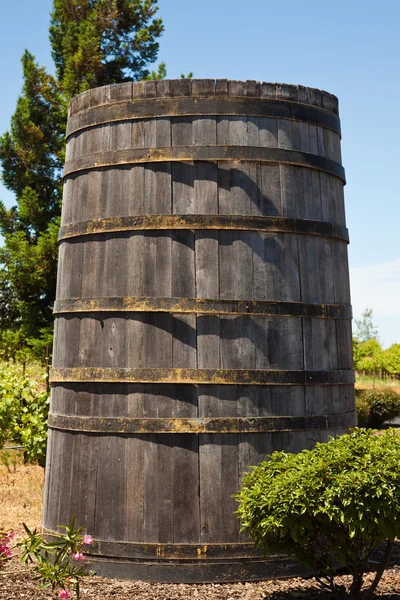 Grande barril de vinho — Fotografia de Stock