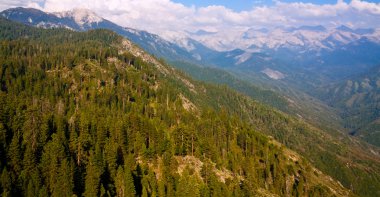 Valley and Mountains at Sequoia National Park clipart