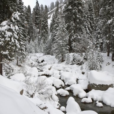 Forest Creek in Winter clipart