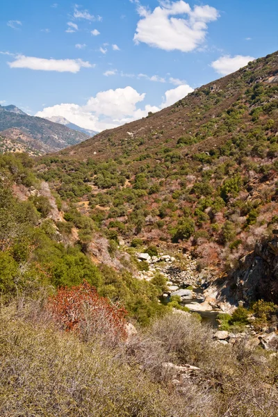 Valley at Sequoia National Park — Stock Photo, Image