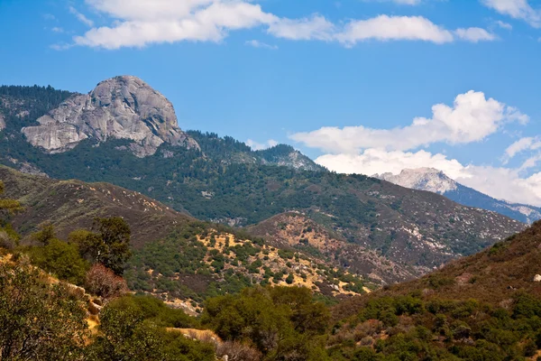 Sequoia Ulusal Parkı manzarası — Stok fotoğraf