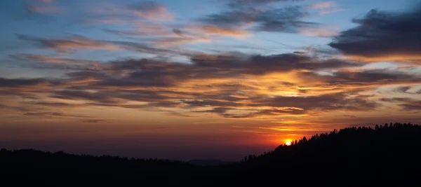Panorama zachód słońca nad lasem — Zdjęcie stockowe