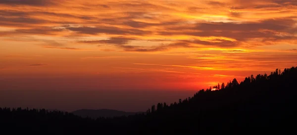 Solnedgång över skogen — Stockfoto