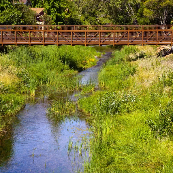 stock image Bridge over a Creek