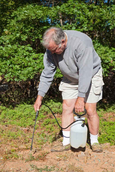 Active Senior Spraying Weeds — Stock Photo, Image