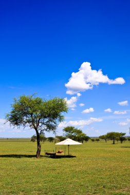 Afrika savana, dinlenme yeri