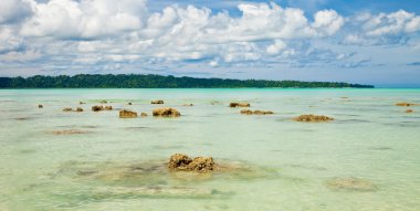 Vijaynagar Beach in Havelock Island clipart