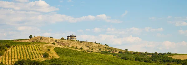 Góry winery — Zdjęcie stockowe