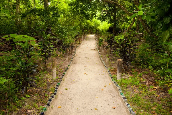 Sentiero nella giungla — Foto Stock