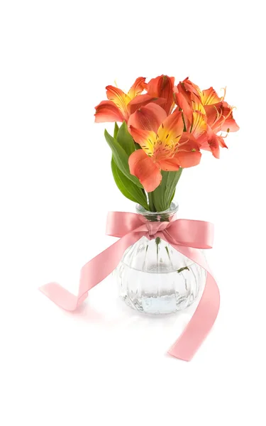 Flower in glass vase — Stock Photo, Image