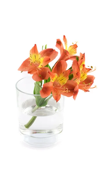 Λουλούδια σε γυάλινο βάζο Φωτογραφία Αρχείου