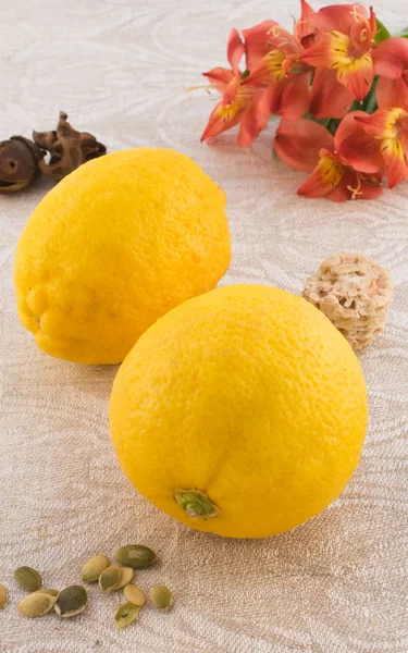 Lemon Fresh yang indah — Stok Foto