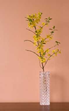 uzun boylu güzel çiçek vazo