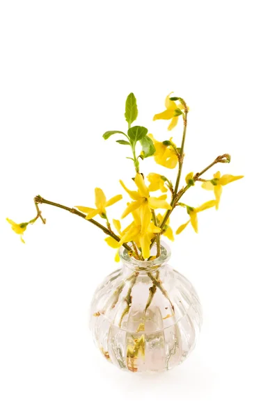 Flower in beautiful vase — Stock Photo, Image