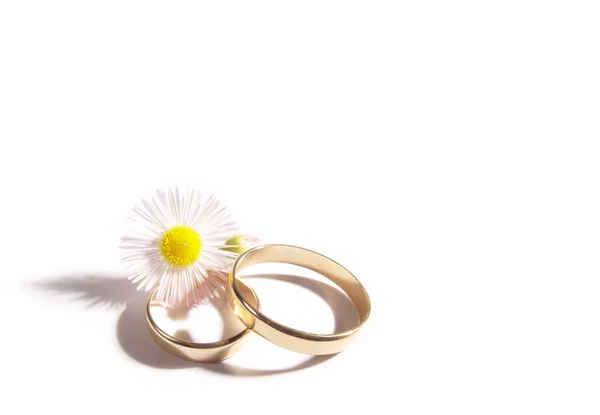 Обручальные кольца и маленькая маргаритка — стоковое фото