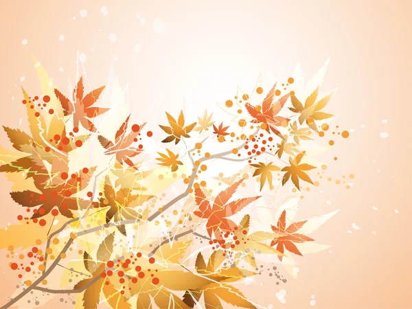 五彩缤纷的秋天树叶 — 图库矢量图片