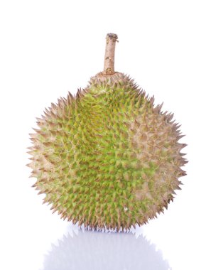 Durian clipart